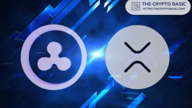 Experto Predice 11 Eventos que Podrían Impactar a XRP y Ripple en los Próximos 3 a 9 Meses: ¡Descubre lo que Viene! - Cripto Boom