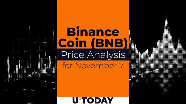 Predicción de Precio de Binance Coin (BNB) para el 7 de Noviembre: ¡Descubre su Futuro! - Cripto Boom