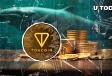 Las Ballenas de Toncoin (TON) Despiertan y Mueven $7.9 Mil Millones en 24 Horas: Descubre los Detalles Ahora - Cripto Boom