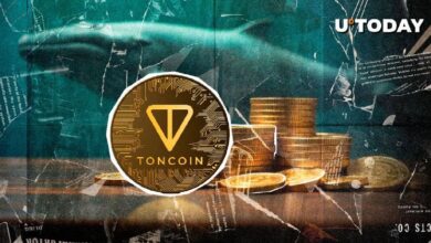 Las Ballenas de Toncoin (TON) Despiertan y Mueven $7.9 Mil Millones en 24 Horas: Descubre los Detalles Ahora - Cripto Boom