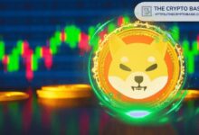 ¡Descubre los Años en que Shiba Inu Alcanzará $0.00009, $0.0004 y $0.002! - Cripto Boom