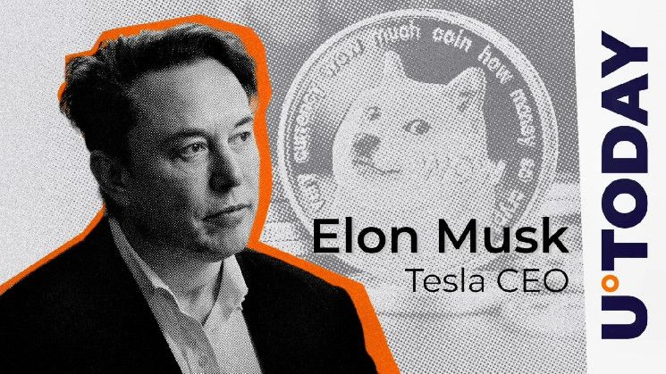 "DogeCoin Foundation Celebra: Demanda Contra Elon Musk Desestimada - Descubre Más" - Cripto Boom