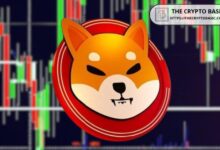 ChatGPT y Google Gemini Predicen el Precio de Shiba Inu mientras BTC Alcanza Nuevo ATH por la Esperada Victoria de Trump - ¡Descubre Más! - Cripto Boom