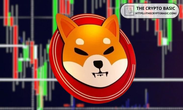 ChatGPT y Google Gemini Predicen el Precio de Shiba Inu mientras BTC Alcanza Nuevo ATH por la Esperada Victoria de Trump - ¡Descubre Más! - Cripto Boom