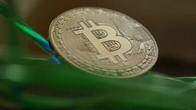 ¿Cuándo Alcanzará Bitcoin los $100,000? Descubre las Predicciones de los Expertos - Cripto Boom