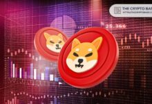 El equipo de Shiba Inu afirma que SHIB es el único token ERC-20 en el top 10: ¡Descubre su lealtad a Ethereum desde el primer día! - Cripto Boom