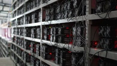 Mineros se Vuelven Nucleares: Descubre la Sinergia Perfecta - Cripto Boom