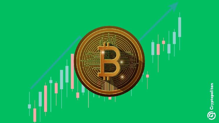 Bitcoin alcanza nuevo récord por encima de $86,000 tras el fervor por la victoria de Trump: ¡Descubre más! - Cripto Boom