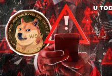 Desarrollador de Dogecoin emite advertencia crucial a la comunidad: ¡Infórmate ahora! - Cripto Boom