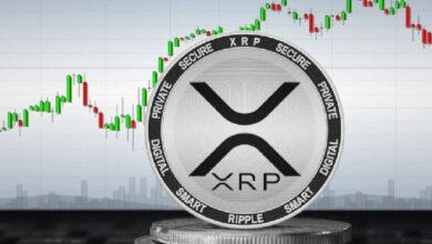 ¡El Precio de XRP Alcanza su Máximo en 3 Años! Optimismo Crece ante la Reorganización de la SEC - Cripto Boom