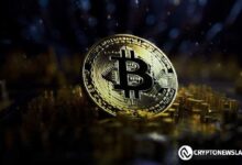 Impulso de Bitcoin: RSI Estocástico Señala Gran Potencial de Crecimiento - ¡Descúbrelo Ahora! - Cripto Boom