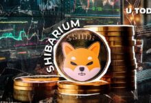 Shibarium Vuelve a su Nivel Máximo: El Precio de SHIB se Recupera, Descubre Más - Cripto Boom