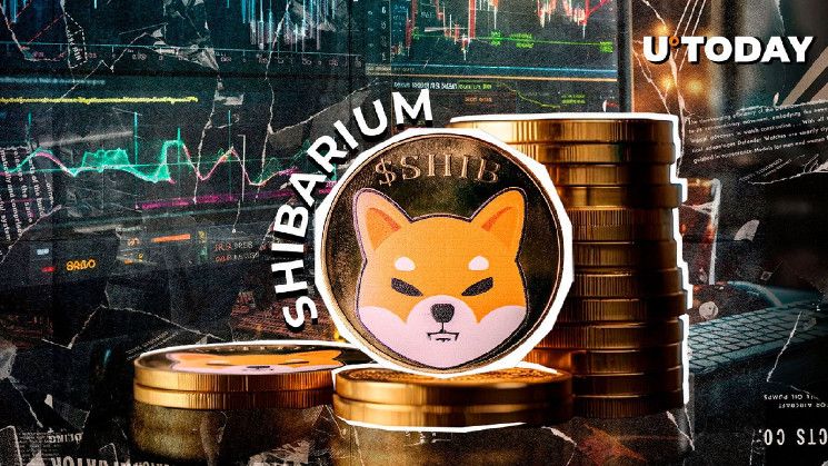 Shibarium Vuelve a su Nivel Máximo: El Precio de SHIB se Recupera, Descubre Más - Cripto Boom