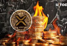 Logro de Quemar 13 Millones de XRP: ¡Descubre el Próximo Paso! - Cripto Boom