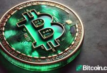 Bitcoin 2024: Revisión de Diez Meses, Hitos Clave y Predicciones de Expertos para Fin de Año - ¡Descubre lo que viene! - Cripto Boom