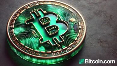 Bitcoin 2024: Revisión de Diez Meses, Hitos Clave y Predicciones de Expertos para Fin de Año - ¡Descubre lo que viene! - Cripto Boom