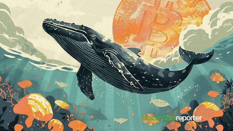 Ballena de Bitcoin Acumula $330 Millones en BTC en los Últimos Cuatro Días: ¡Descubre Más en Lookonchain! - Cripto Boom