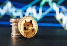 Dogecoin apunta a un repunte del 100% hasta $0.82, según analistas ¡Descubre más! - Cripto Boom