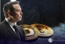 La Agencia DOGE de Musk Impulsa el Debate sobre la Libertad Económica y Aumenta el Precio de Dogecoin: Descubre Más - Cripto Boom