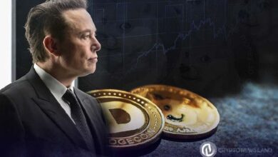 La Agencia DOGE de Musk Impulsa el Debate sobre la Libertad Económica y Aumenta el Precio de Dogecoin: Descubre Más - Cripto Boom