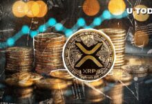 ¡Descubre qué cambió!: 1,7 mil millones de XRP en 24 horas - Cripto Boom