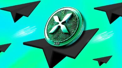 ¡Descubre cómo el ETP de XRP de Virtune supera a Bitcoin! - Cripto Boom