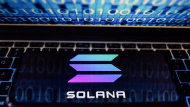 Solana (SOL) podría superar pronto los $250—¿Están los toros al mando? ¡Descúbrelo aquí! - Cripto Boom