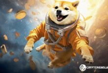 El Auge Alcista de Dogecoin se Acerca: ¡Analistas Predicen Meta de $1.16! - Cripto Boom