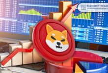 Top Trader Afirma que Shiba Inu Romperá Récord de Siete Meses a $0.000036: ¡Descúbrelo Aquí! - Cripto Boom