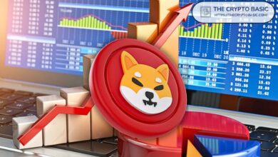 Top Trader Afirma que Shiba Inu Romperá Récord de Siete Meses a $0.000036: ¡Descúbrelo Aquí! - Cripto Boom