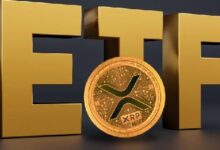 Cronograma de Aprobación de ETF de XRP y Otras Altcoins ¡Descúbrelo Ya! - Cripto Boom