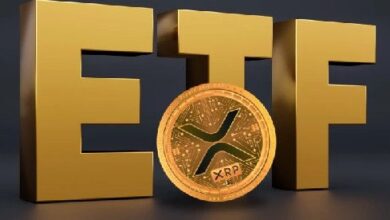 Cronograma de Aprobación de ETF de XRP y Otras Altcoins ¡Descúbrelo Ya! - Cripto Boom