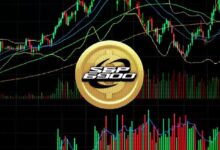 Predicción del precio SPX6900 2024-2030: ¿Se multiplicará por 10 o se desplomará? ¡Descúbrelo ahora! - Cripto Boom