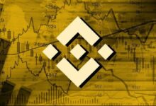 Informe mensual de Binance: Octubre fue la era de los memecoins, Bitcoin (BTC) se movió con el S&P 500 - ¡Descubre más! - Cripto Boom