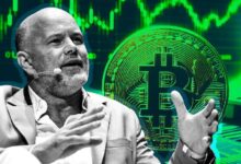 El CEO de Galaxy Digital, Mike Novogratz, afirma que Bitcoin alcazará los $100,000: ¡Descubre por qué es solo el comienzo! - Cripto Boom