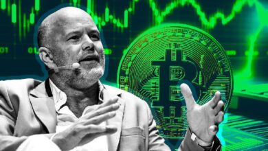 El CEO de Galaxy Digital, Mike Novogratz, afirma que Bitcoin alcazará los $100,000: ¡Descubre por qué es solo el comienzo! - Cripto Boom