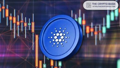 ¿Cuál es el Nivel que Cardano Debe Mantener para Continuar al Alza? ¡Descúbrelo Ahora! - Cripto Boom