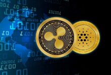 Nueva oportunidad cripto para inversores que perdieron el rally de precios de XRP y ADA: ¡Descúbrela aquí! - Cripto Boom