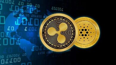 Nueva oportunidad cripto para inversores que perdieron el rally de precios de XRP y ADA: ¡Descúbrela aquí! - Cripto Boom