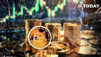 Dogecoin (DOGE) se dispara un 25%: ¡Analista predice ruptura hacia $0.82! Descubre más - Cripto Boom