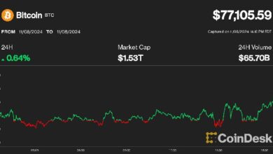 ¡Bitcoin Alcanza Otro Hito: Supera los $77K por Primera Vez! ¿Continuará el Rally Cripto Según las Tasas de Financiación? - Cripto Boom