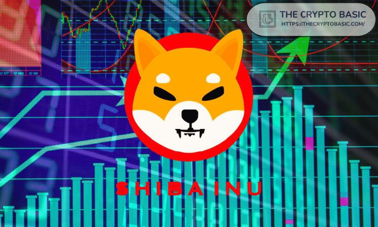 Shiba Inu Listo para un Potente 2025: Proyectos Líderes Impulsan su Rally a $0.0000495 - ¡Descubre Más! - Cripto Boom