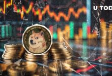 200 Millones de DOGE en 24 Horas: ¡Descubre lo que está Sucediendo! - Cripto Boom