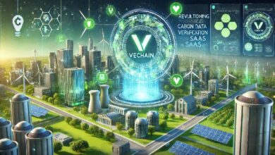 Usuarios de VeChain Apoyan veDelegate para una Gobernanza Más Inteligente: Descubre el Futuro del Ecosistema - Cripto Boom