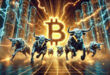 ¿Son los Inversores Minoristas la Clave del Aumento de Precio de Bitcoin en Esta Racha Alcista? Descúbrelo Aquí - Cripto Boom