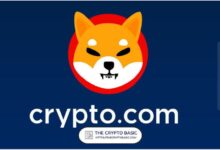 Líder de Shiba Inu Califica de Muy Interesante el Nuevo Movimiento de un Principal Exchange para SHIB - ¡Descúbrelo Ahora! - Cripto Boom