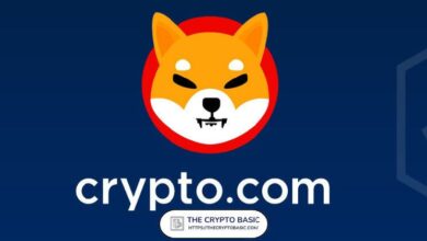 Líder de Shiba Inu Califica de Muy Interesante el Nuevo Movimiento de un Principal Exchange para SHIB - ¡Descúbrelo Ahora! - Cripto Boom