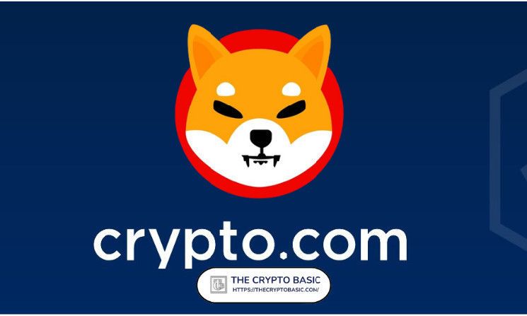 Líder de Shiba Inu Califica de Muy Interesante el Nuevo Movimiento de un Principal Exchange para SHIB - ¡Descúbrelo Ahora! - Cripto Boom