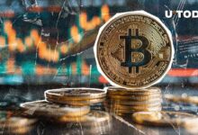 Millonario de Bitcoin Inactivo Desde 2013 Hace un Regreso Épico ¡Descubre Cómo! - Cripto Boom