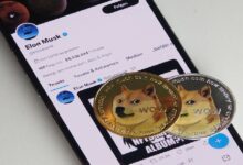 Dogecoin Vuelve a Ladrar: Especulaciones Recientes sobre Elon Musk Invitan a Leer Más - Cripto Boom